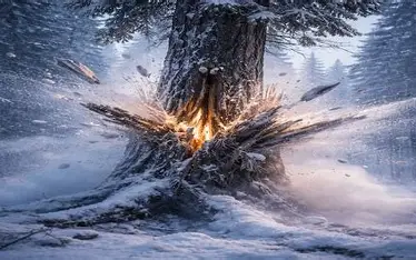 درختان در آمریکا «منفجر» می‌شوند! موج سرمای قطبی با دمای 50- فارنهایت، خطر جانی برای میلیون‌ها نفر