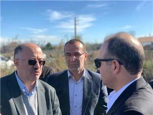 بازديد ميداني سرپرست جهاد کشاورزي به بابل؛ مبارزه با سنبل آبي، حمايت از توليد داخلي و تقويت زنجيره امنيت غذايي