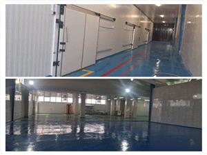 بازديد از نخستين سردخانه بزرگ سبزيجات و غذاهاي آماده در بابل؛ گامي بلند در توسعه صنايع تبديلي و تأمين امنيت غذايي