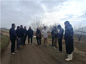 رئيس منابع طبيعي شهرستان کرمانشاه: مشارکت مردمي مولفه کليدي اثربخشي مديريت جامع حوزه آبخيز است