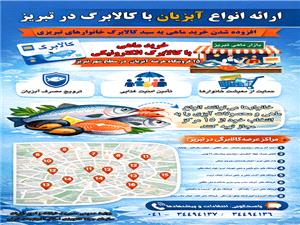 افزوده شدن خريد ماهي به سبد کالابرگ خانوارهاي تبريزي گامي در مسير ترويج مصرف آبزيان