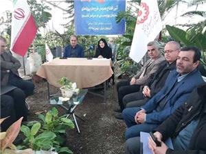 افتتاح گلخانه 5 هزار مترمربعي گل و گياهان زينتي در خسروشاه با حضور رئيس سازمان بهزيستي کشور