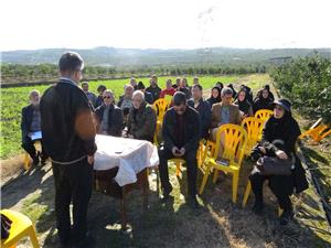 کارگاه آموزشي روز انتقال يافته هاي تحقيقاتي کلزا به مناسبت دهه فجر