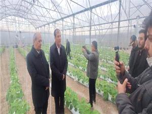 افتتاح 75 طرح کشاورزي با سرمايهگذاري 1.6 همت در آذربايجان شرقي همزمان با دهه فجر