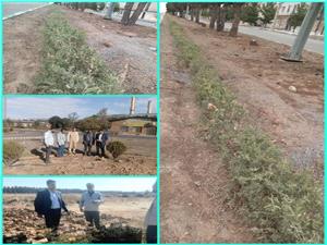 تغيير الگوي کشت در فضاي سبز شهري نيشابور ، ضرورتي انکار ناپذير است