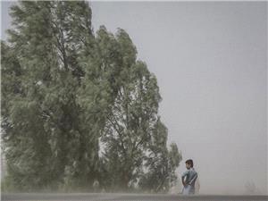 وزش باد شدید در راه پایتخت؛ مراقب سقوط اجسام و درختان باشید