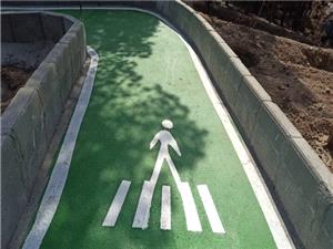 استقبال بانوان از "پيادهراه سلامت بوستان حديدچي" در شمالشرق پايتخت