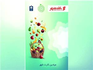 میادین کارت عملیاتی شد/ امکان استفاده از میادین کارت توسط سازمانهای خصوصی و دولتی