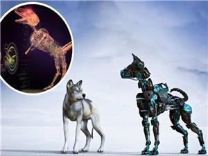 هوش مصنوعی حیواناتی با قابلیت توسعه بینایی میسازد