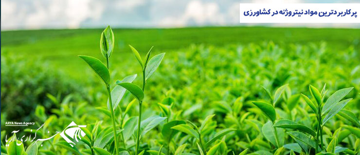 پرکاربردترین مواد نیتروژنه در کشاورزی