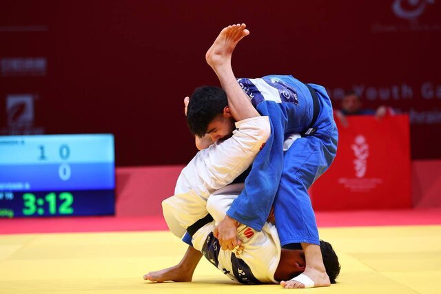 خبرگزاری آریا