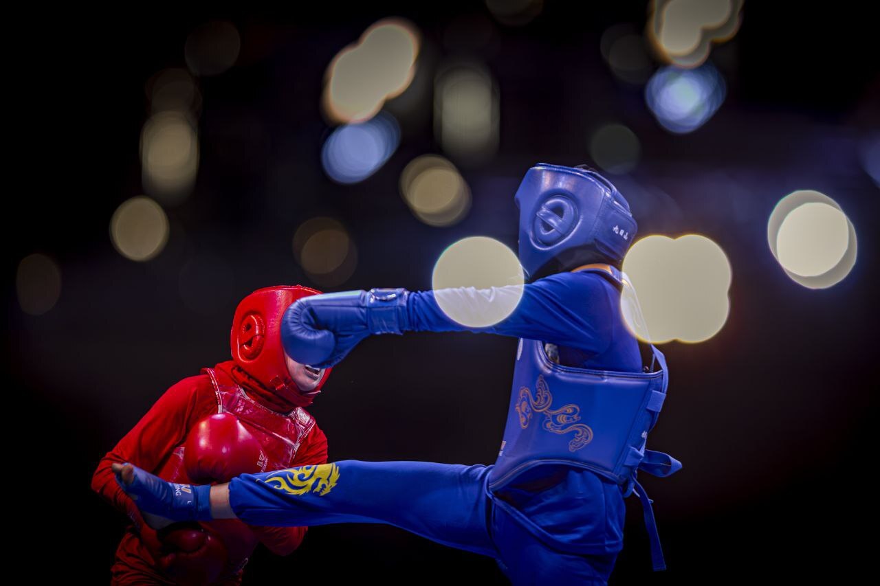 خبرگزاری آریا