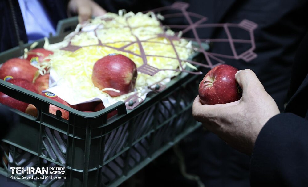 خبرگزاری آریا