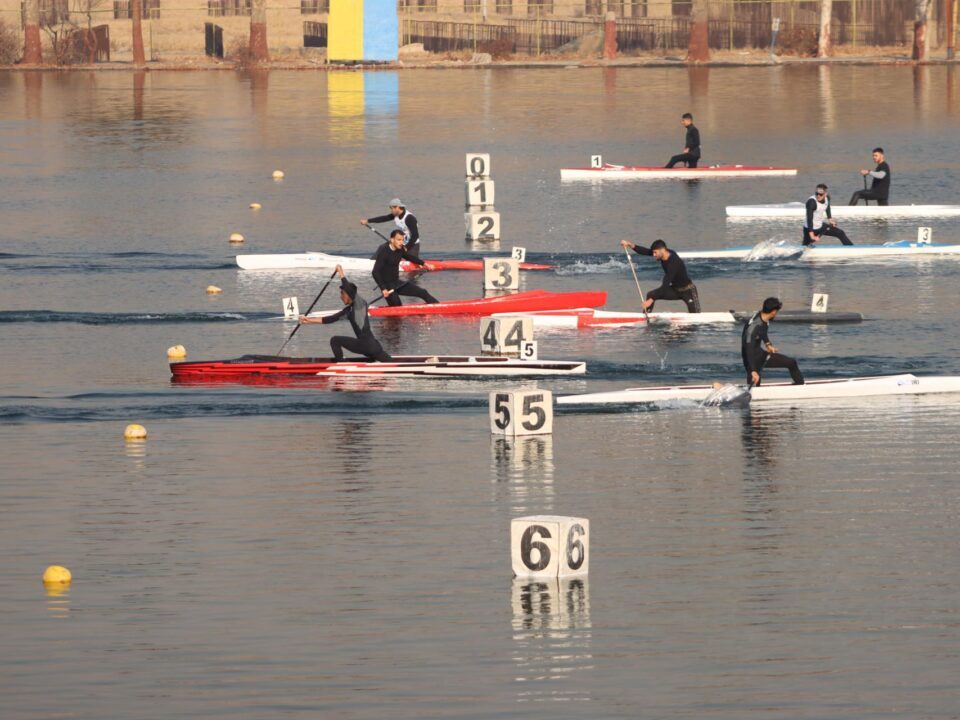 خبرگزاری آریا